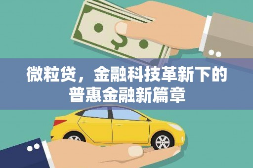 中方微粒贷，金融科技革新下的普惠金融新篇章