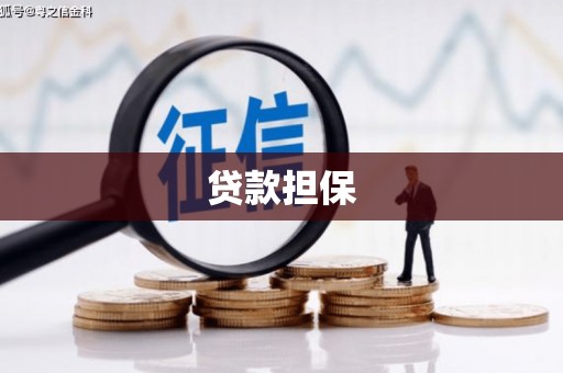 中方贷款担保