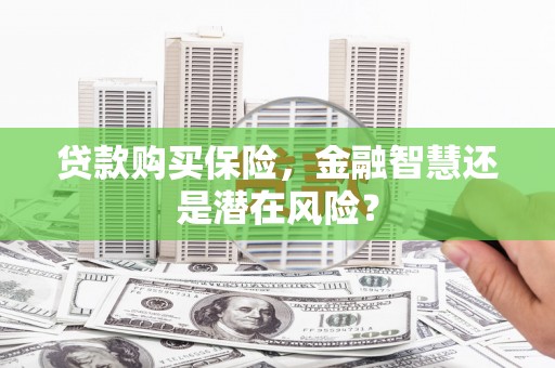 中方贷款购买保险，金融智慧还是潜在风险？