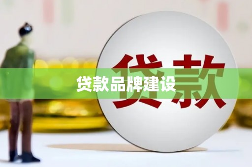 中方贷款品牌建设
