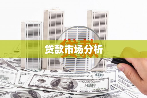 中方贷款市场分析