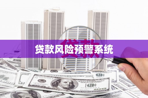中方贷款风险预警系统