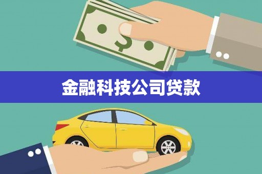 中方金融科技公司贷款