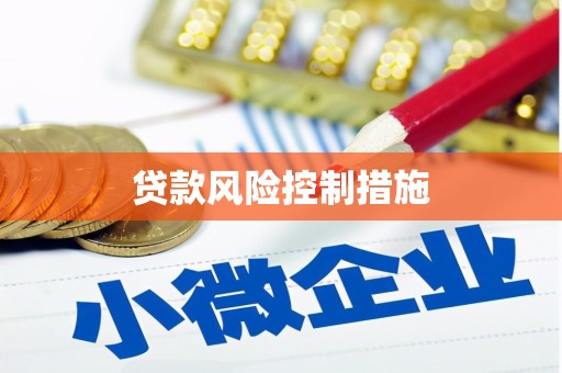 中方贷款风险控制措施