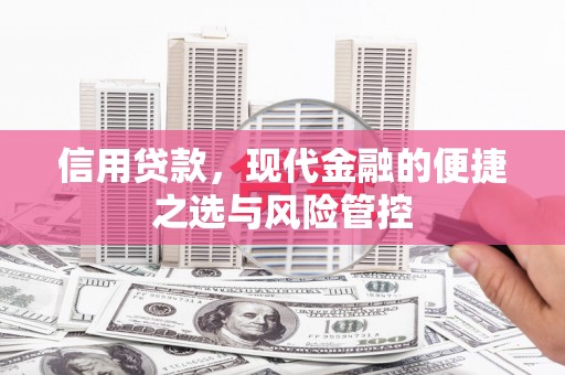 中方信用贷款，现代金融的便捷之选与风险管控