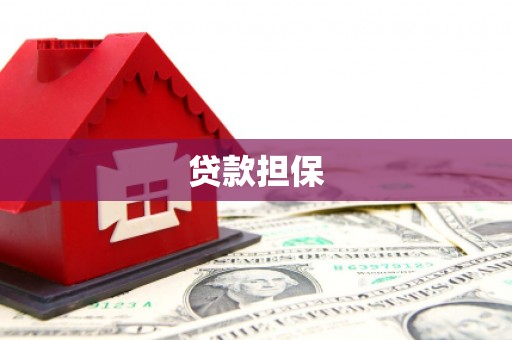 中方贷款担保