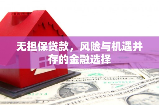 中方无担保贷款，风险与机遇并存的金融选择