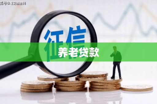 中方养老贷款