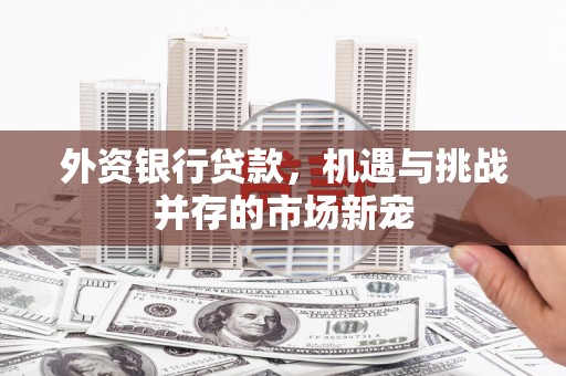 中方外资银行贷款，机遇与挑战并存的市场新宠