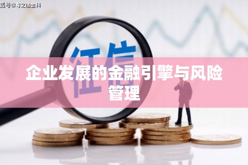 中方企业发展的金融引擎与风险管理