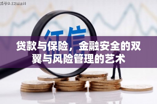 中方贷款与保险，金融安全的双翼与风险管理的艺术