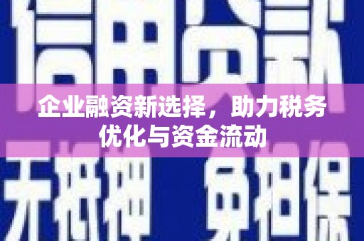 中方企业融资新选择，助力税务优化与资金流动