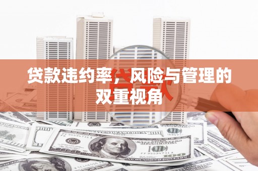 中方贷款违约率，风险与管理的双重视角