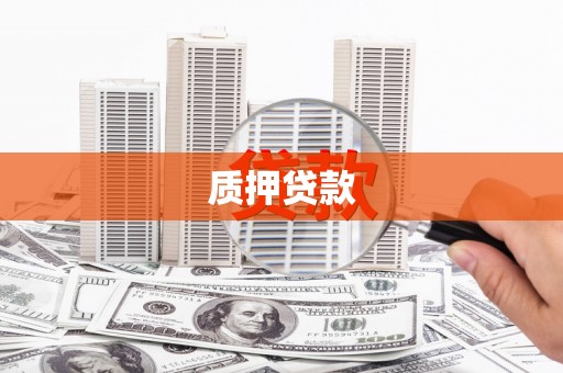 中方质押贷款