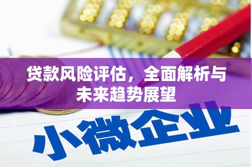 中方贷款风险评估，全面解析与未来趋势展望