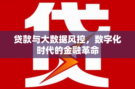 中方贷款与大数据风控，数字化时代的金融革命