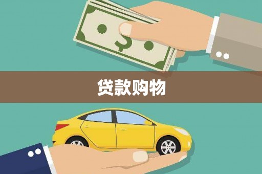 中方贷款购物