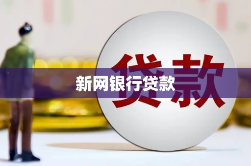 中方新网银行贷款