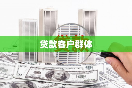 中方贷款客户群体