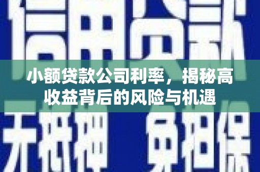 中方小额贷款公司利率，揭秘高收益背后的风险与机遇