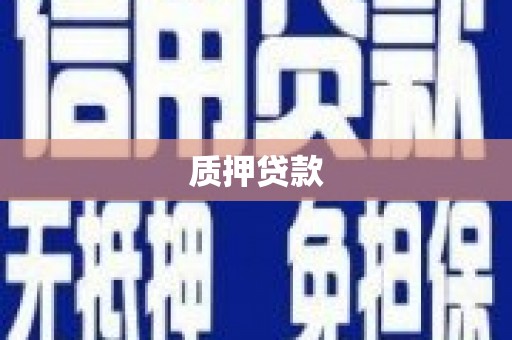 中方质押贷款