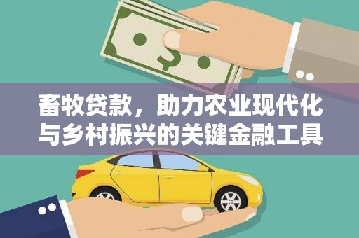 中方畜牧贷款，助力农业现代化与乡村振兴的关键金融工具