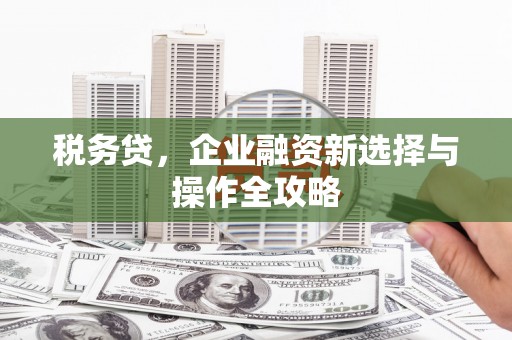 中方税务贷，企业融资新选择与操作全攻略