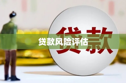 中方贷款风险评估