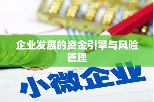 中方企业发展的资金引擎与风险管理