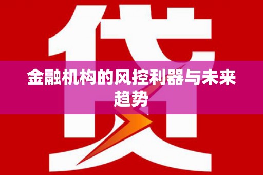 中方金融机构的风控利器与未来趋势