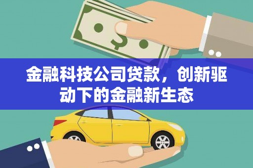 中方金融科技公司贷款，创新驱动下的金融新生态