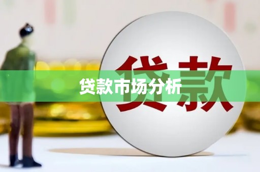 中方贷款市场分析