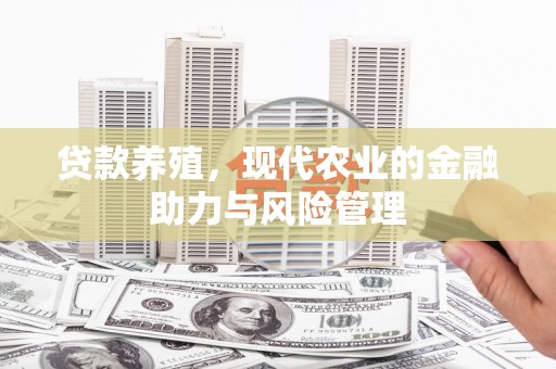 中方贷款养殖，现代农业的金融助力与风险管理