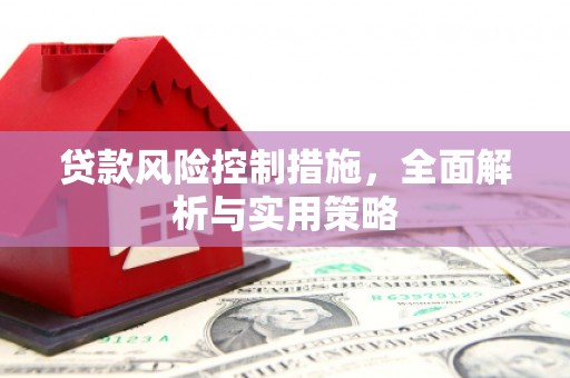 中方贷款风险控制措施，全面解析与实用策略