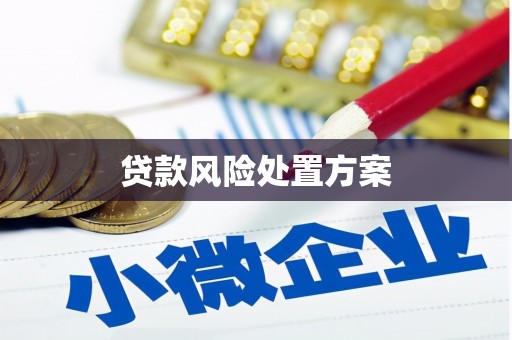 中方贷款风险处置方案