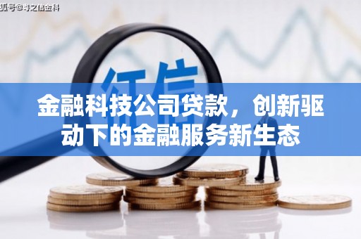中方金融科技公司贷款，创新驱动下的金融服务新生态