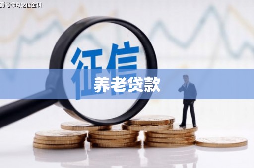 中方养老贷款