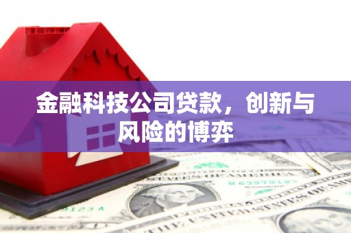 中方金融科技公司贷款，创新与风险的博弈