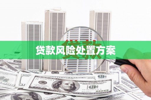 中方贷款风险处置方案