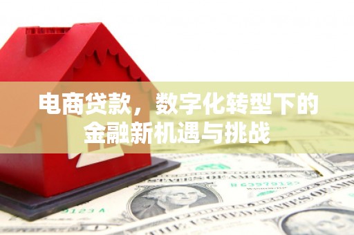 中方电商贷款，数字化转型下的金融新机遇与挑战