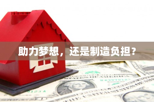 中方助力梦想，还是制造负担？