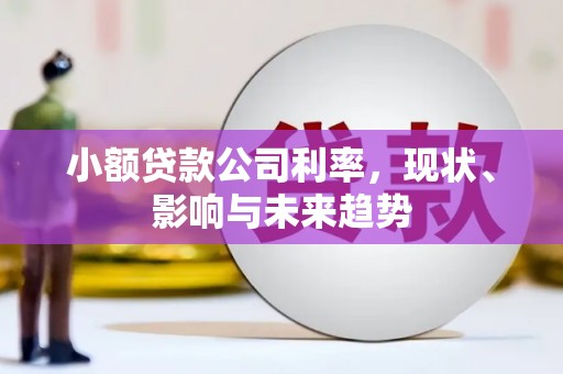 中方小额贷款公司利率，现状、影响与未来趋势