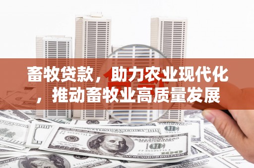 中方畜牧贷款，助力农业现代化，推动畜牧业高质量发展
