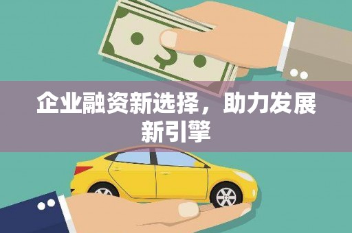 中方企业融资新选择，助力发展新引擎