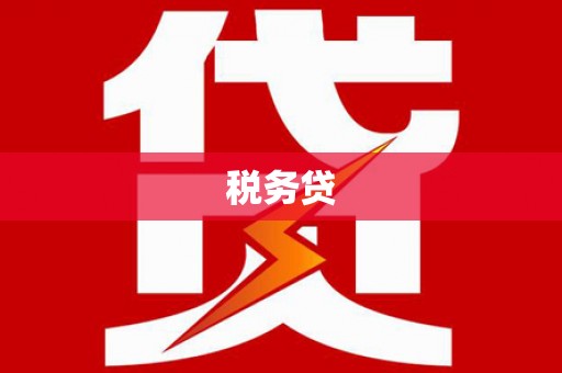 中方税务贷