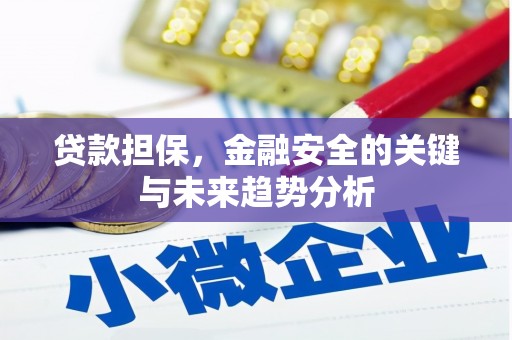 中方贷款担保，金融安全的关键与未来趋势分析