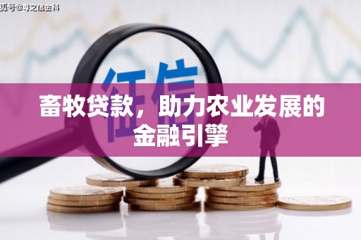 中方畜牧贷款，助力农业发展的金融引擎