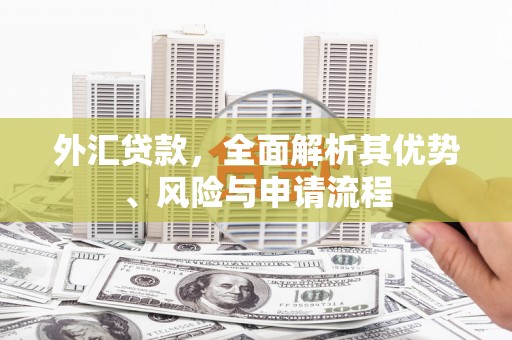 中方外汇贷款，全面解析其优势、风险与申请流程