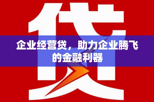 中方企业经营贷，助力企业腾飞的金融利器