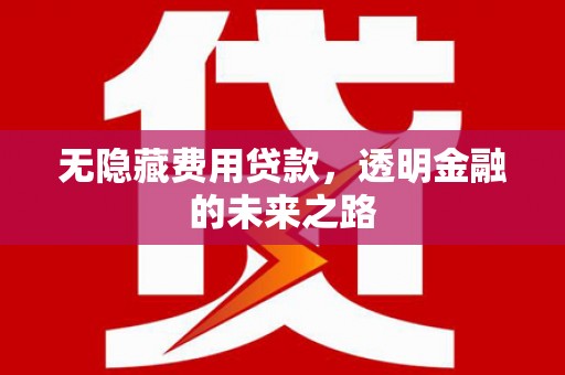 中方无隐藏费用贷款，透明金融的未来之路